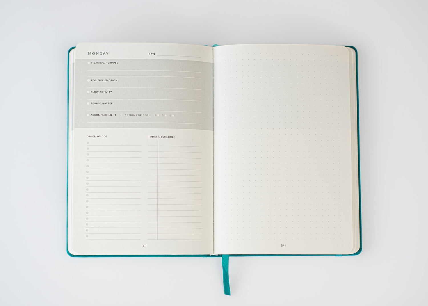The Positive Psychology Planner