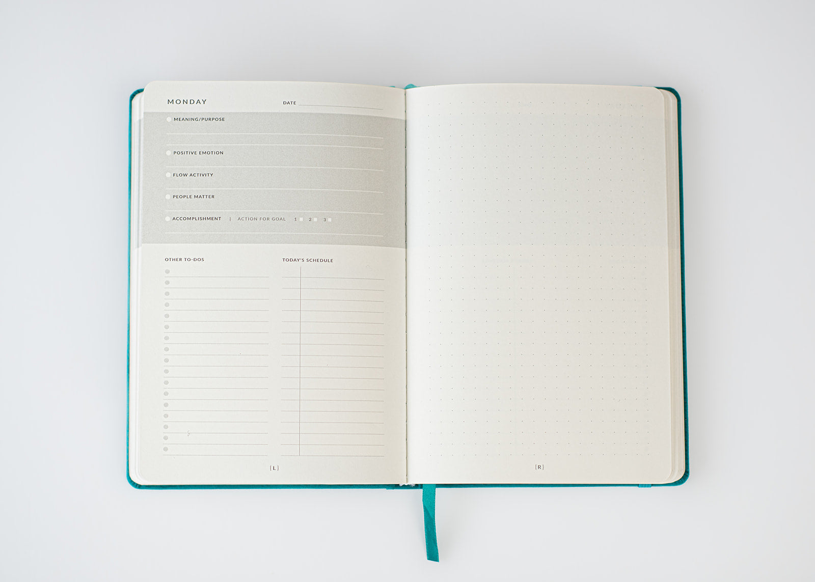 The Positive Psychology Planner