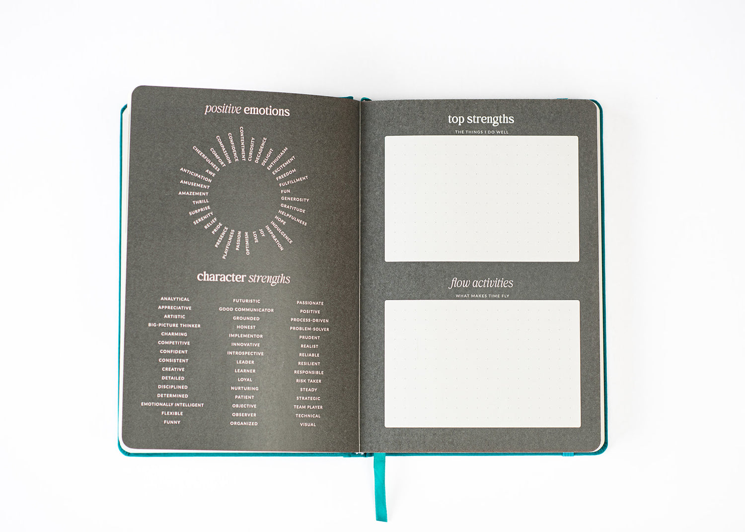 The Positive Psychology Planner