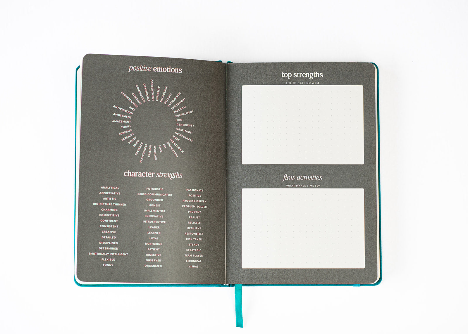 The Positive Psychology Planner