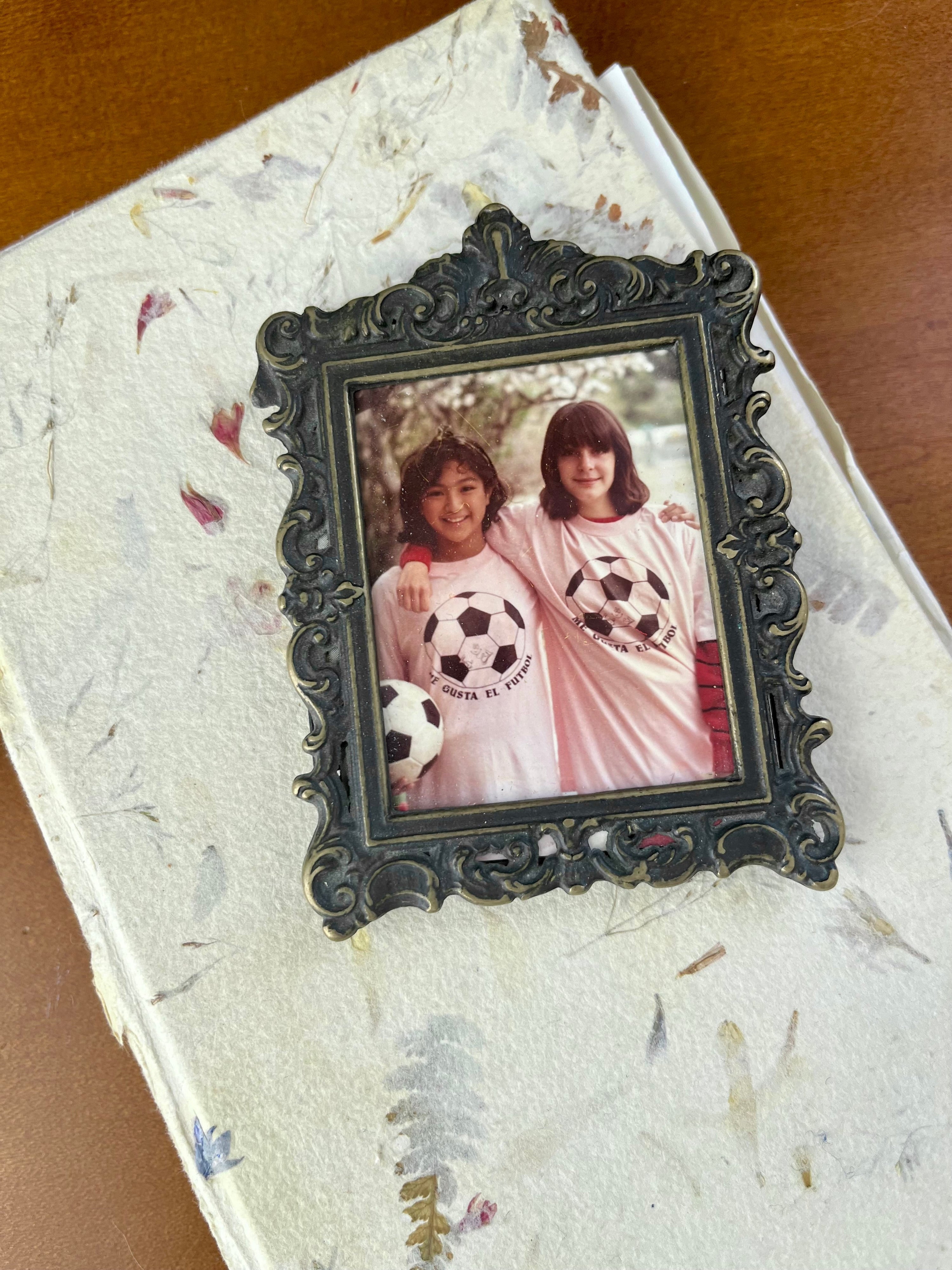 The Gift of Journaling: How Writing Transforms Your Brain and Life
